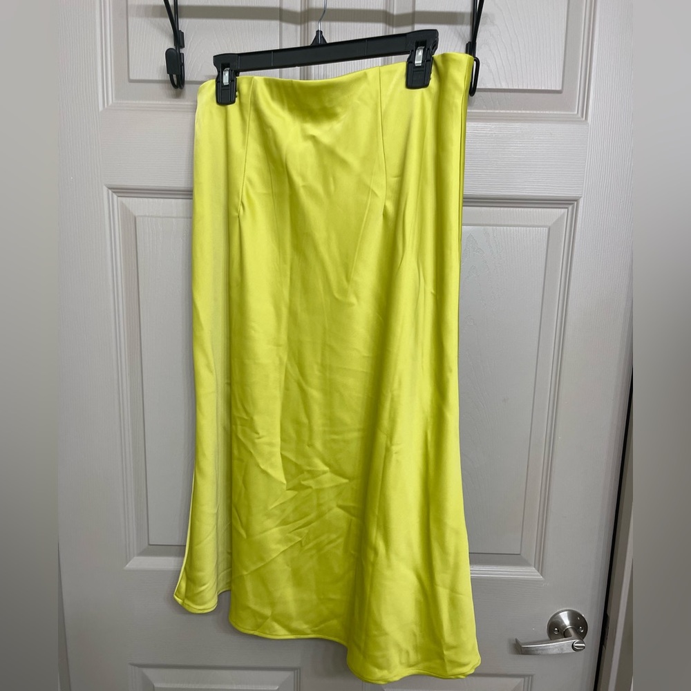 Rachel Zoe midi skirt size 10